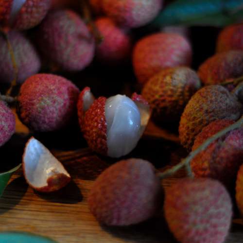 Essential Resources - Lychees partly open