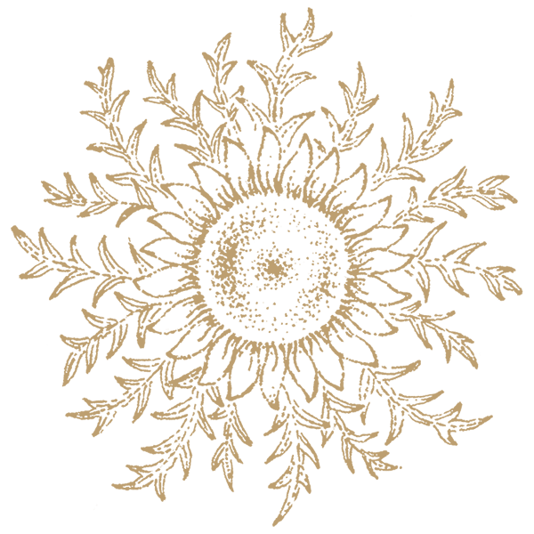 Flor de Sol - Logo